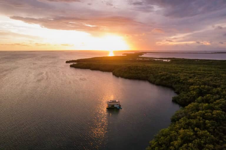 DJI_0421