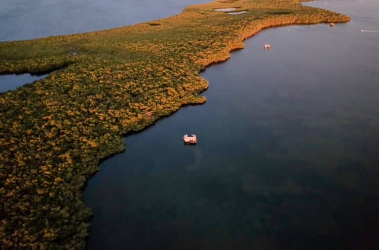 DJI_0429