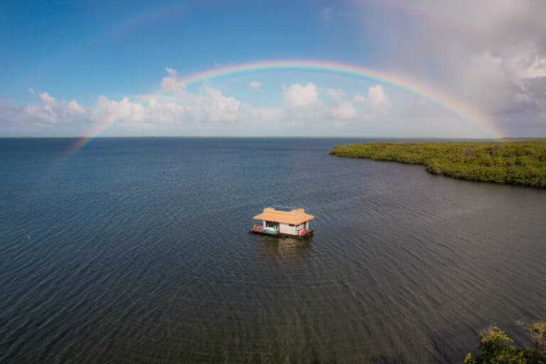 DJI_0460